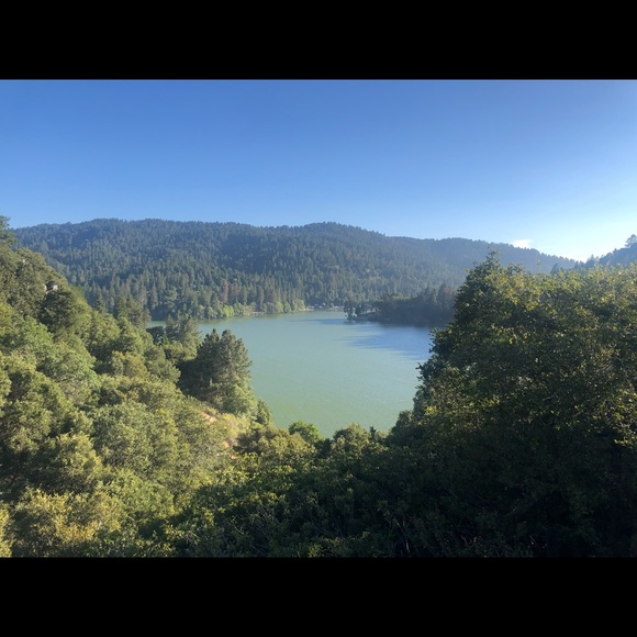 Meet your Posher, Erika - Picture 1 of 1